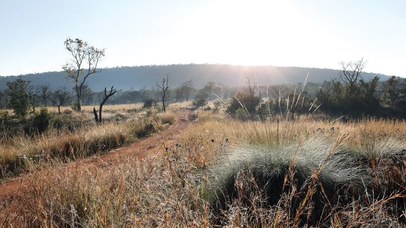 Shambala Private Game Reserve