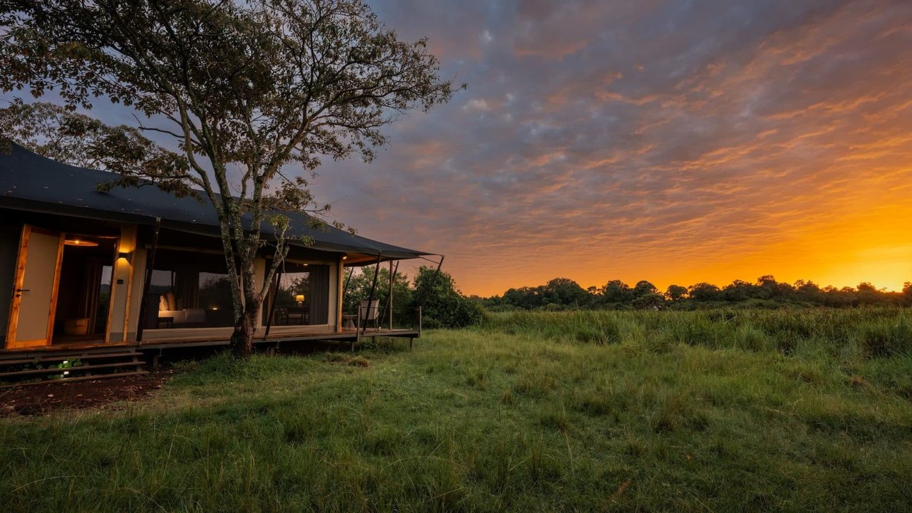 Wilderness Mara