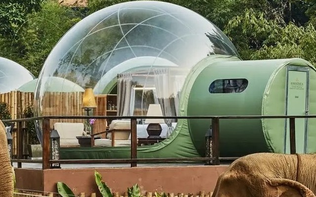 Anantara Golden Triangle Elephant Camp & Resort