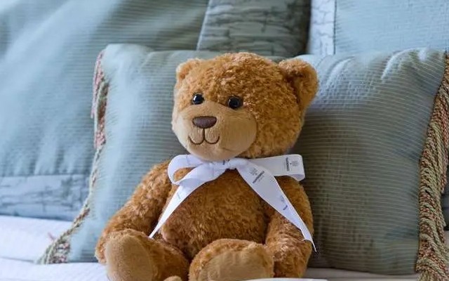 The Vanderbilt Newport