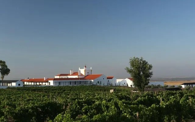 Torre de Palma Monforte