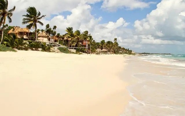 Papaya Playa Project