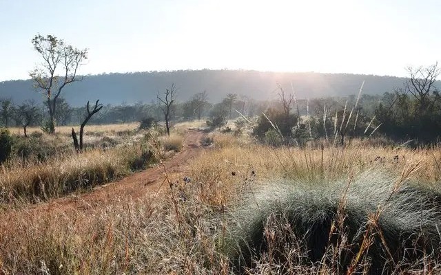 Shambala Private Game Reserve