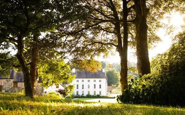 The Grove of Narberth