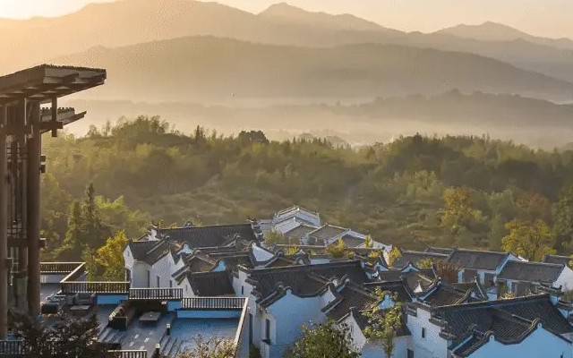 Banyan Tree Huangshan