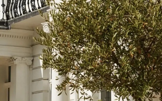 Number Sixteen London