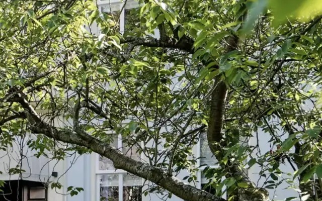 Central Park Voorburg