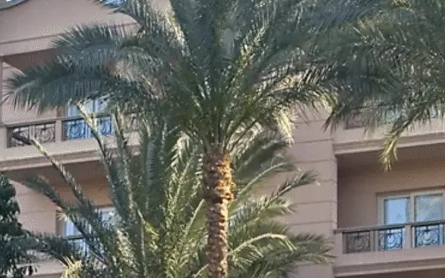 Pavillon Winter Luxor Hotel