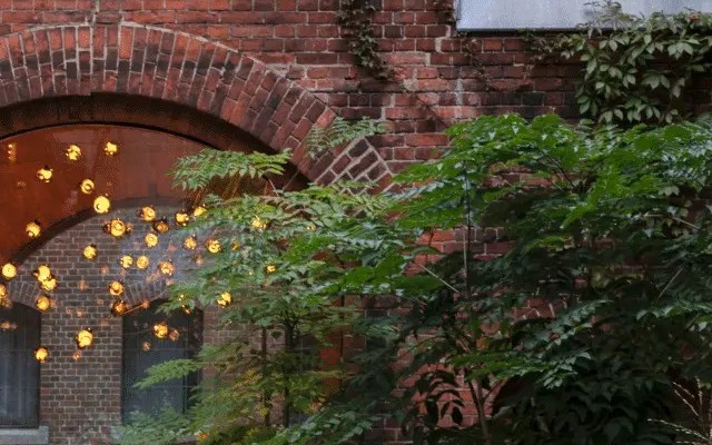 Hotel Wilmina Berlin