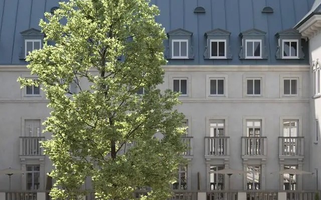 The Florentin Frankfurt