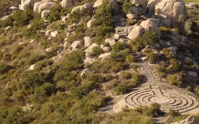 Banyan Tree Veya Valle de Guadalupe