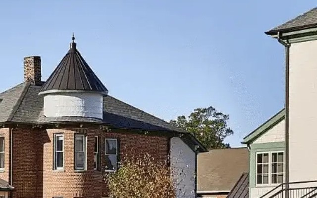 Zelda Dearest Asheville